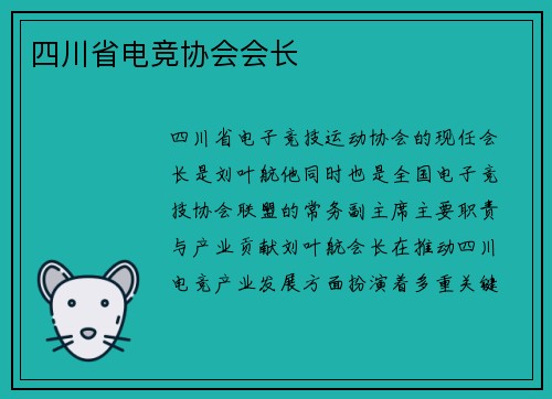 四川省电竞协会会长